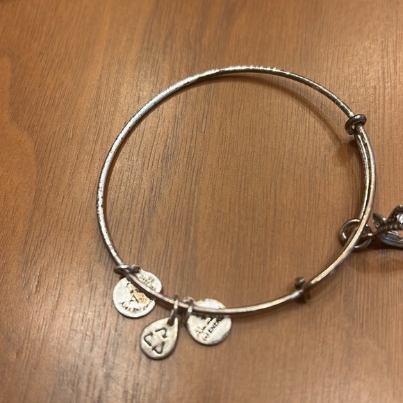 Alex And Ani Silver Crown Bangle - Picture 3 of 5
